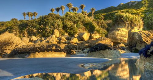 Paparoa National Park